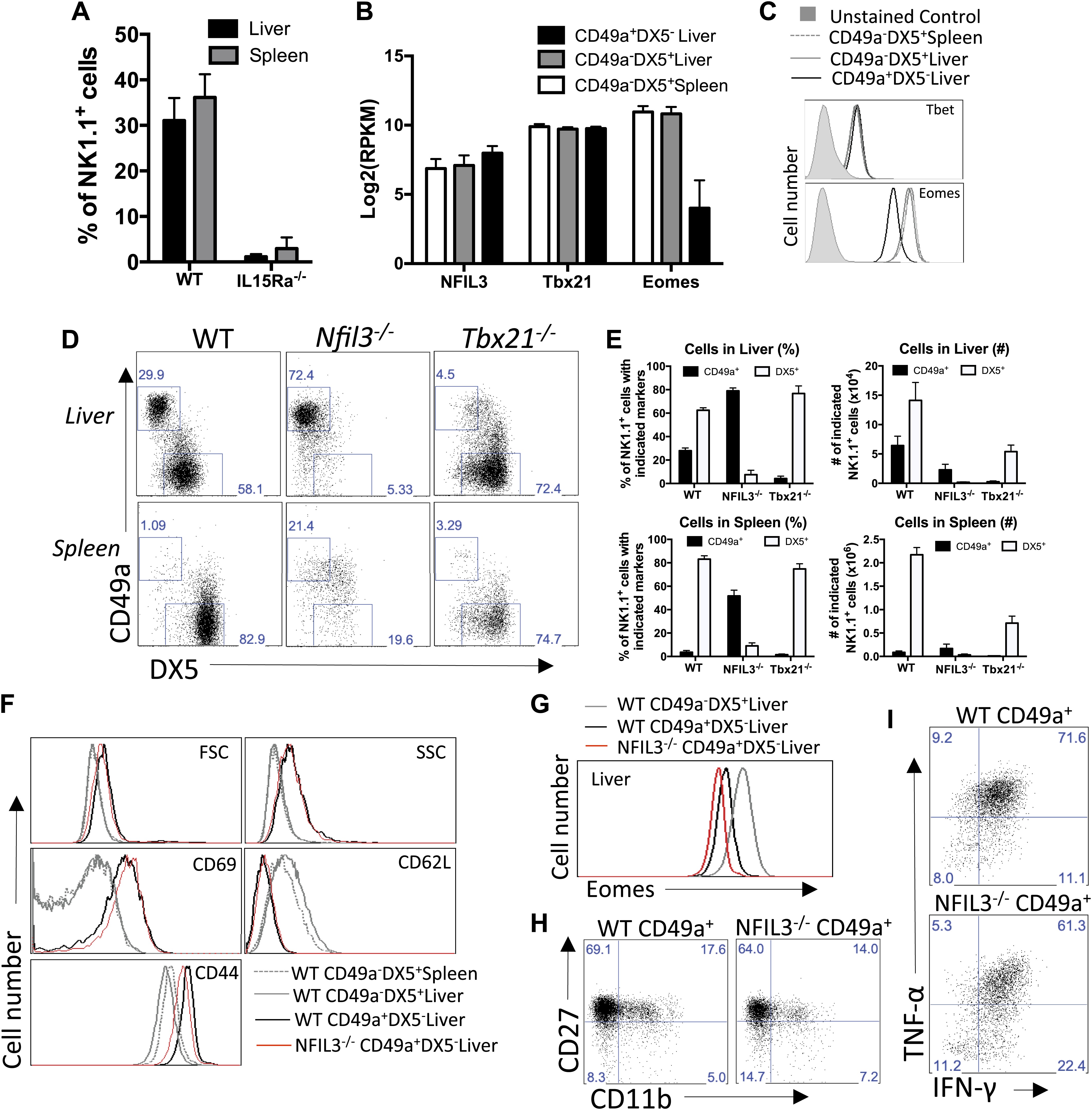 Tissue-resident natural killer (NK) cells are cell lineages distinct ...