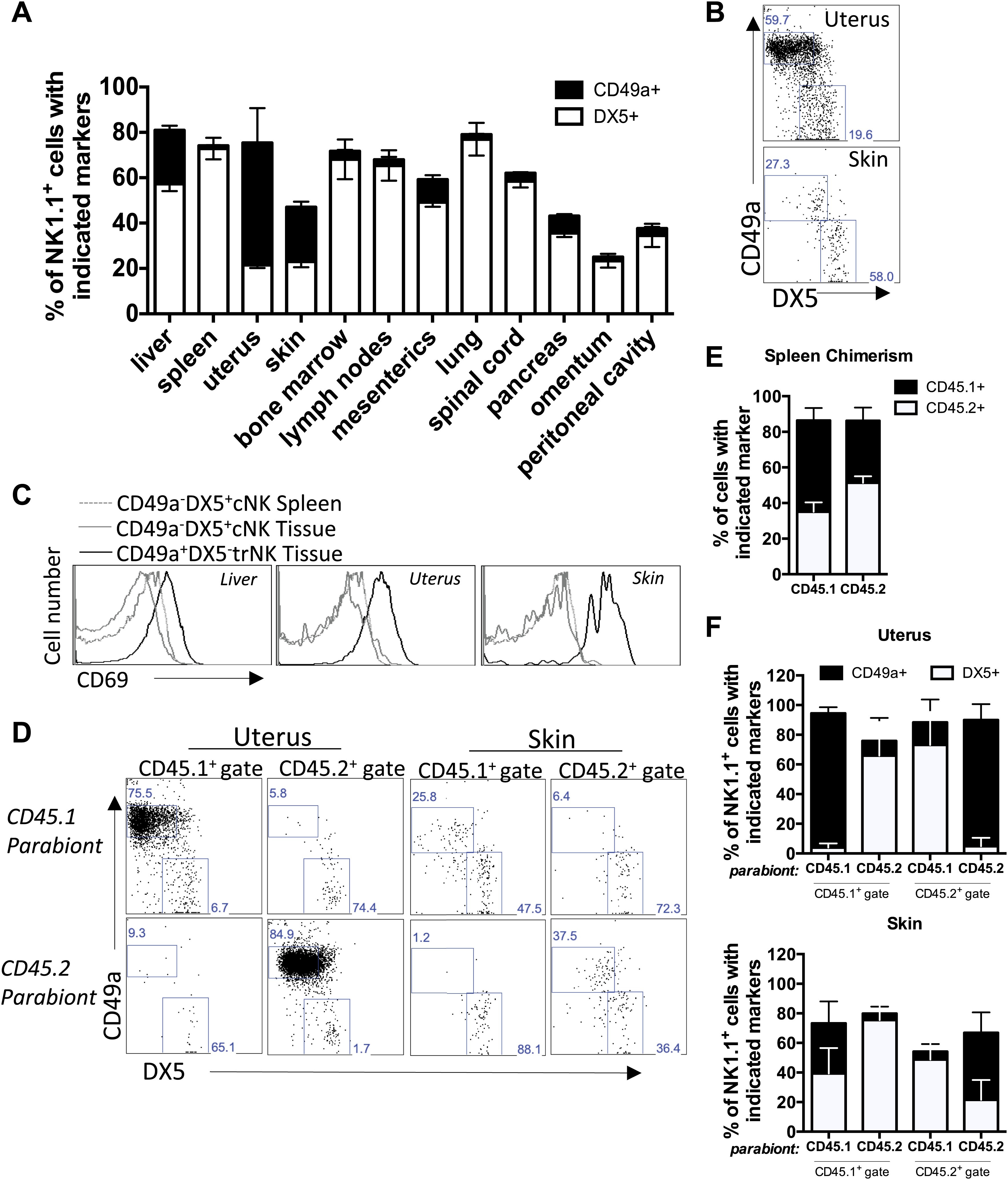 Tissue-resident natural killer (NK) cells are cell lineages distinct ...