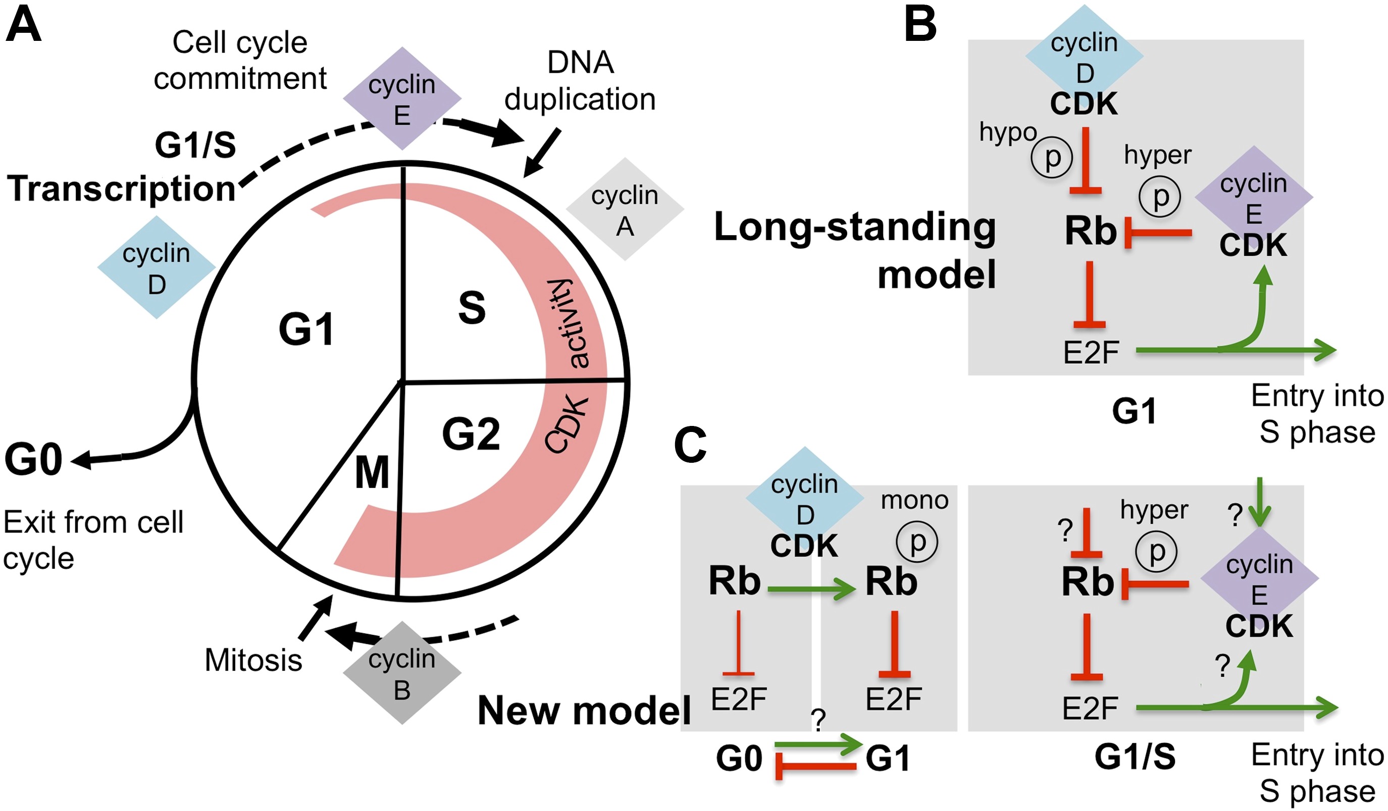 elife-03475-fig1-v1.jpg