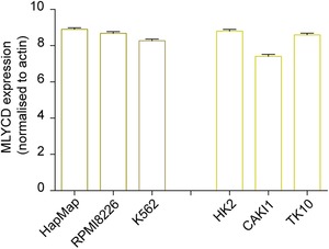 Phenotype-based cell-specific metabolic modeling reveals ...