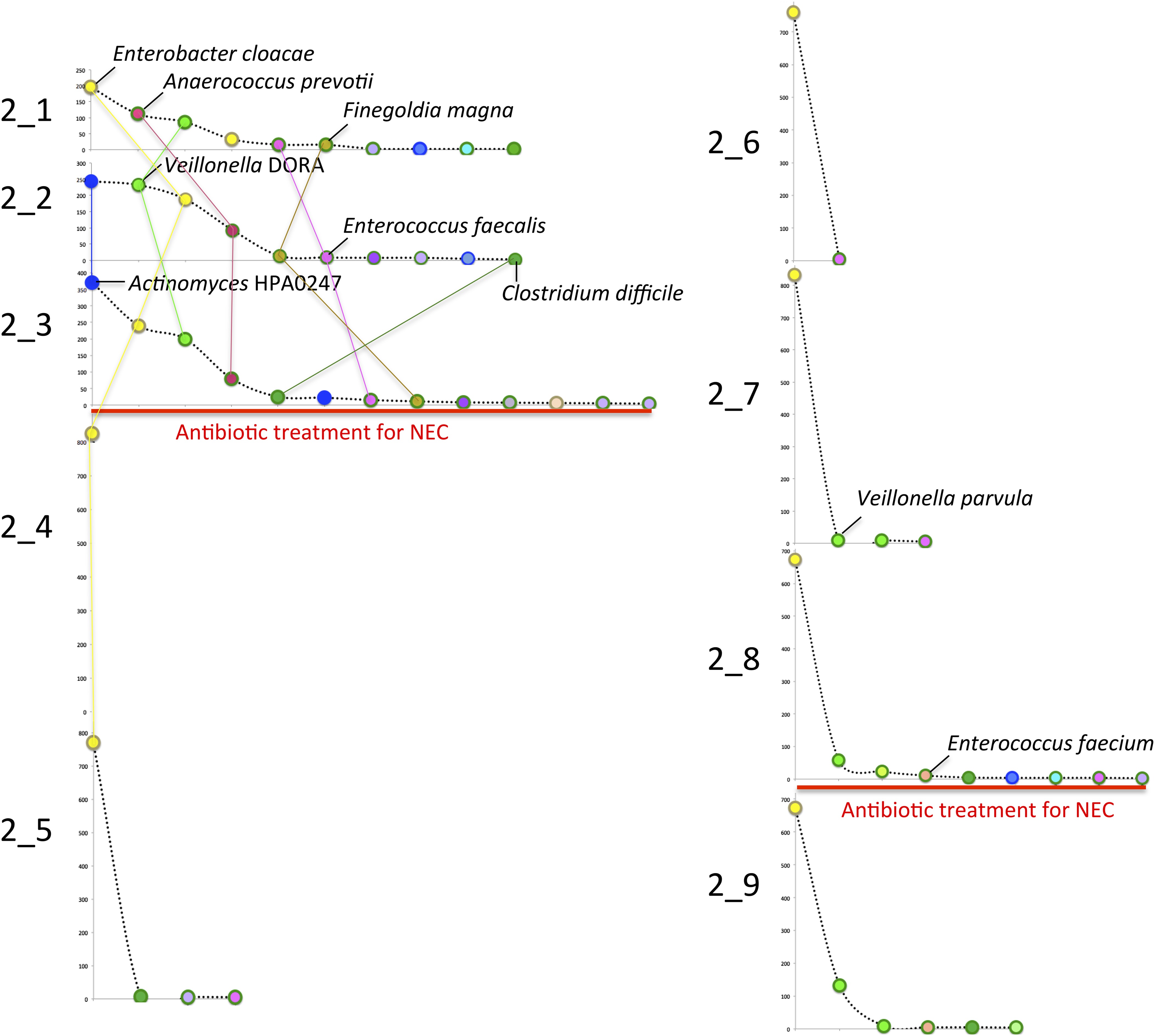 download cyclic renormalization and automorphism groups of rooted
